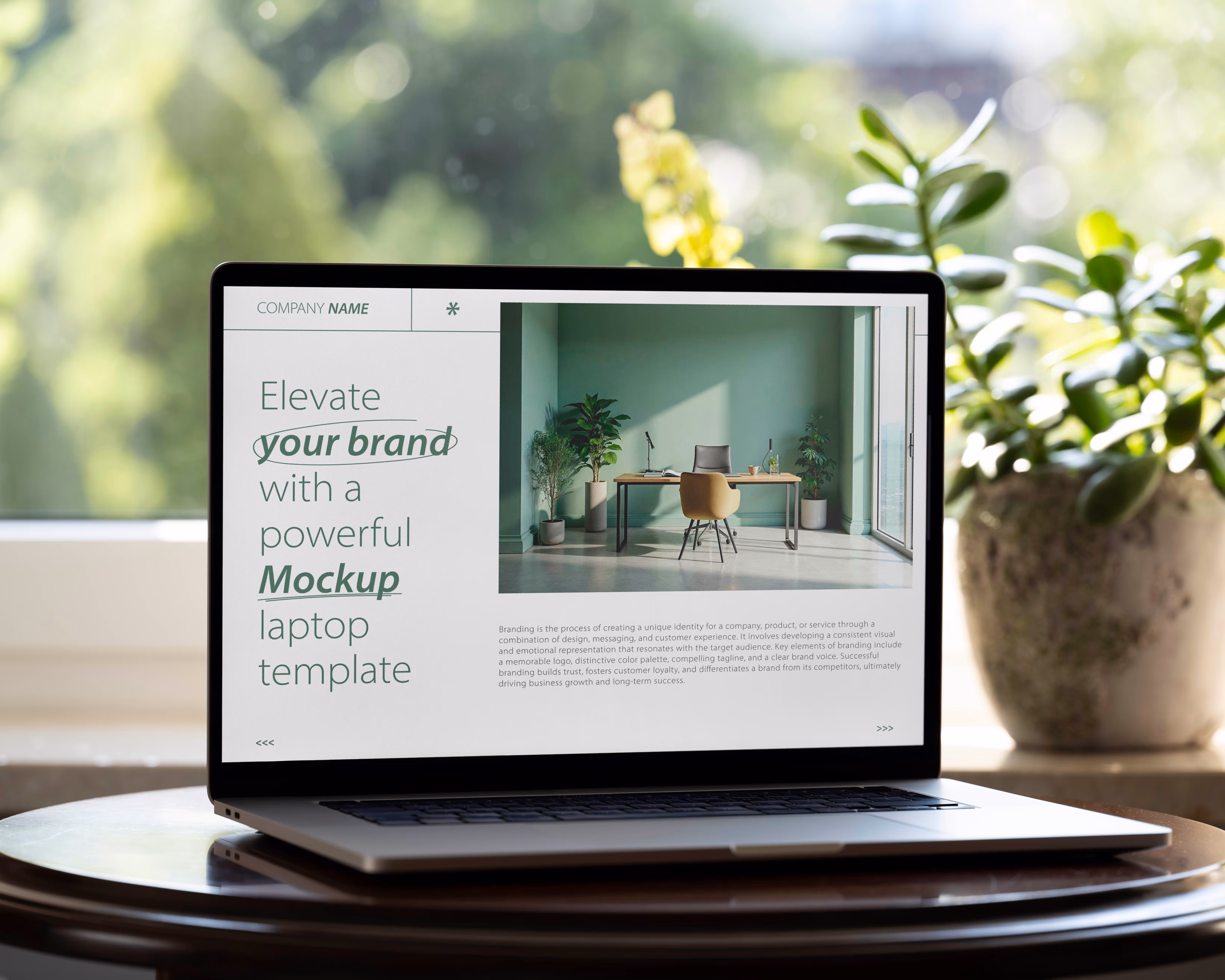 Website design showcase for Summit Healthcare